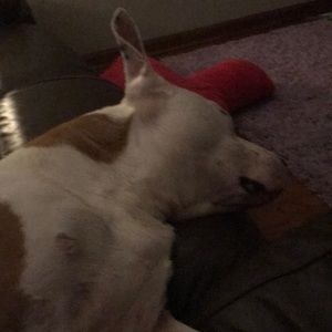 Meet your Posher, Kara